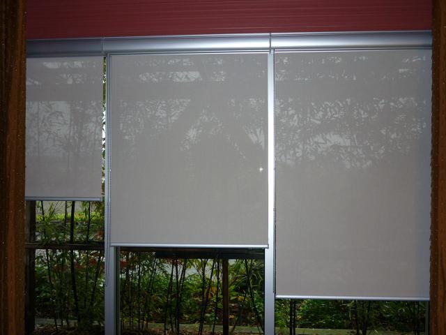 window-shades-981%5B1%5D.jpg